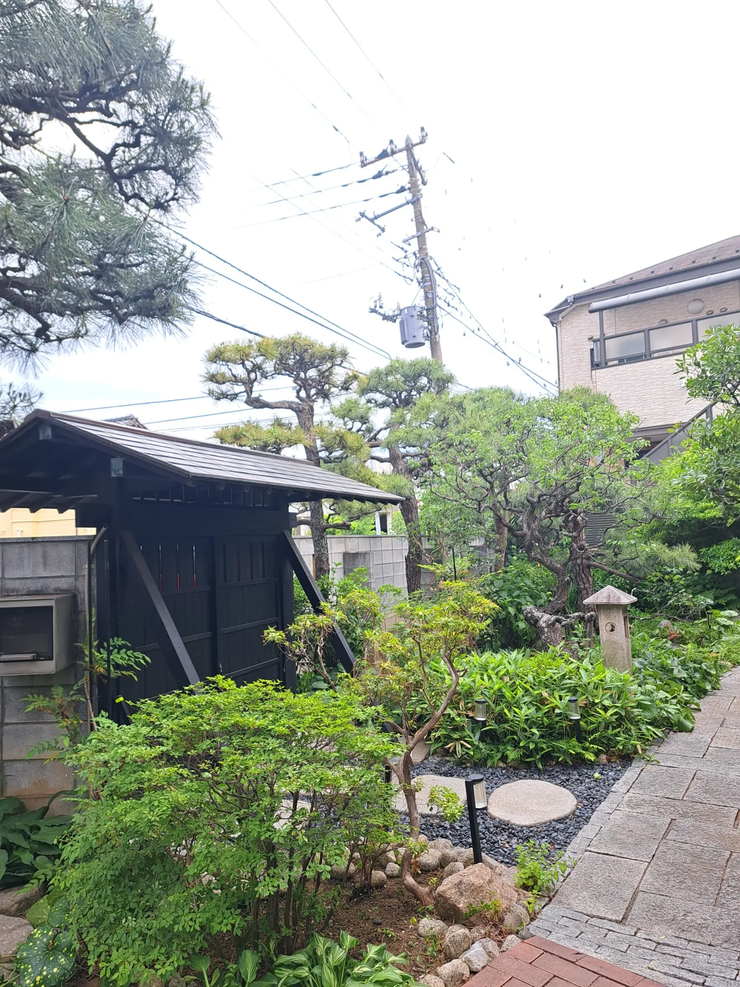 【千葉市花見川区 剪定】